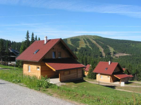 Beautiful Holiday Home in Weinebene with Sauna Obergösel
